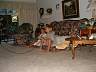 S_DSCF0076.JPG