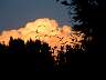 S_DSCF0049.JPG