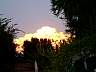 S_DSCF0052.JPG