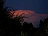 S_DSCF0059.JPG