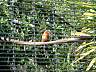 S_DSCF0006.JPG