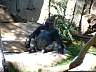 S_DSCF0008.JPG