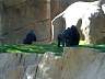 S_DSCF0009.JPG