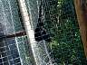S_DSCF0010.JPG