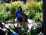 S_DSCF0012.JPG