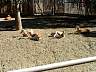 S_DSCF0014.JPG