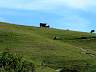 S_DSCF0041.JPG