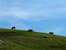 S_DSCF0042.JPG