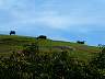 S_DSCF0043.JPG