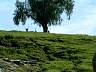 S_DSCF0050.JPG