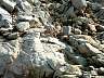S_DSCF0067.JPG