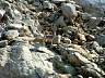 S_DSCF0068.JPG