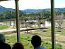 S_DSCF0072.JPG