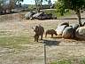 S_DSCF0074.JPG