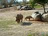 S_DSCF0075.JPG