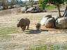 S_DSCF0076.JPG