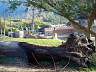 S_DSCF0077.JPG