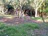 S_DSCF0087.JPG